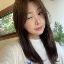 블루폴라