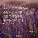 무실우미린A 경로당 | 2025년 11월 - 청약당첨, 일라이릴리 수익실현, 양도세
