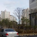 서호동-34 이미지