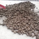 일도목장 이미지