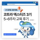 앞서가는 IT영어_Trending Digital English [Part2] | 코트라 덱스터즈 3기 5-6주차 후기ㅣSEO 검색 엔진 최적화 이론, 구글 트랜드ㅣ SEO 최적화 실습 PART2