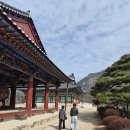 대리3길 | 울산에서 청도여행 1박2일 후기 울주군마운트 운문사 마음여행카페