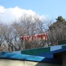 일풍식당 이미지