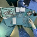팔레스타인: 분쟁 지역에서 한국인 성형외과의로 활동한다는 것 이미지