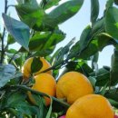 보내농장 이미지