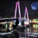 (주)청유주유소 | [전남 여수]벚꽃명소 현지인 추천 제일 큰 벚꽃나무가있는 드라이브하기 좋은 벚꽃길