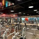 DH웰리스 이미지