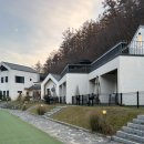 메리도그하우스 | 서울근교 양평 애견펜션 : 메리도그하우스 a동