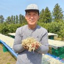 싱그린영농조합법인