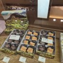 동문 | 제주여행선물 오메기떡 맛집 제주동문시장 제라헌 포장 후기