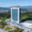 강릉시치매안심센터 이미지