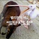 본격적인 여름의 시작