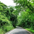 석골농장 이미지