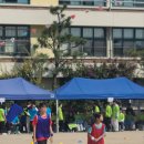 석촌초등학교 이미지