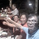 각하농장 이미지