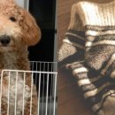 구로종합동물병원 이미지