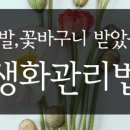 한플라워
