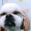 동화미용 이미지