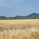 예락리~용정 이미지