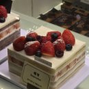 키보코리아 | 마운자로 24주차 10mg 후기 | 80kg 설 연휴의 유혹을 이겨내고 다시 마주한 70kg대의 예고편, 부작용, 적응