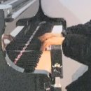 D Major Main Melody Technic and Articulation Expression 이미지