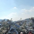 마당바위로 Daum카페