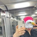 강남대로16길 21 이미지