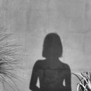 디자인프로젝트 이미지