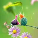 소나무유치원 이미지