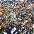 저거리농장 이미지