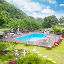 솔까치펜션 이미지