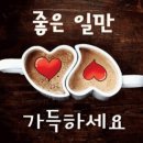바보티비