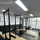 빅파이브스트렝스 이미지