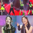 트로트 이미지