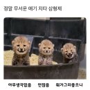 (대면) 사진으로 이야기하다 | [월간 보고] 2026년 1월(중)