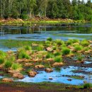 파인빌 파3골프장 이미지