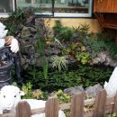 소라 유치원 이미지