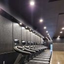 고고 휘트니스 이미지