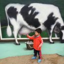 승일목장 이미지