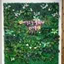 소녀폰중고폰대구 이미지