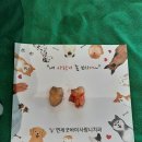 연세굿바이사랑니치과의원 이미지