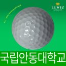 국립안동대학교 | &#34;레인지볼, 스크린골프공, 연습용골프공 5,100개 납품 후기&#34; 안동 국립안동대학교
