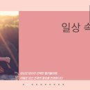 멍편한세상