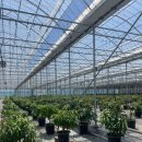 우대농장 이미지