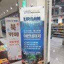 아쿠아펫 카페수족관 이미지