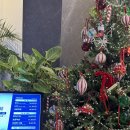 원후 | 청주 연말모임장소추천 신상뷔페 다이닝원 내돈내산 후기