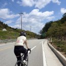 유현교차로 이미지