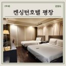 노블워시타운 | 켄싱턴호텔 평창 디럭스 패밀리 트윈 룸 컨디션