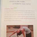 요가현혁신도