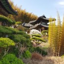 침산정 | 침산정 방문 후기: 한적한 자연 속의 힐링 스팟